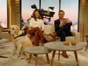 d170104-113108-920-100-br-studio_wir_in_bayern d170104-113108-920-100-br-studio_wir_in_bayern