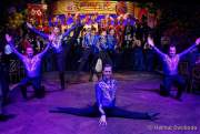 d180210-222403-080-100-carneval_in_rio-a-narrhalla_garde