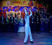 d180210-222849-370-100-carneval_in_rio-a-narrhalla_garde