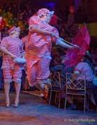 d180210-222953-550-100-carneval_in_rio-a-narrhalla_garde