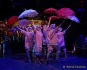 d180210-223002-830-100-carneval_in_rio-a-narrhalla_garde