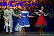d180210-223047-960-100-carneval_in_rio-a-narrhalla_garde