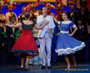d180210-223118-720-100-carneval_in_rio-a-narrhalla_garde