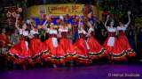 d180210-223215-620-100-carneval_in_rio-a-narrhalla_garde