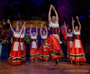 d180210-223242-540-100-carneval_in_rio-a-narrhalla_garde