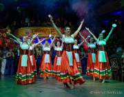 d180210-223243-450-100-carneval_in_rio-a-narrhalla_garde