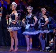 d180210-223435-490-100-carneval_in_rio-a-narrhalla_garde