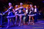 d180210-223609-560-100-carneval_in_rio-a-narrhalla_garde