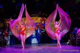d180210-224715-810-100-carneval_in_rio-a-narrhalla_garde