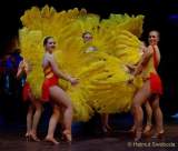 d180210-224846-950-100-carneval_in_rio-a-narrhalla_garde