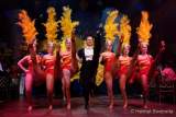 d180210-225253-540-100-carneval_in_rio-a-narrhalla_garde