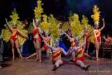 d180210-225319-890-100-carneval_in_rio-a-narrhalla_garde
