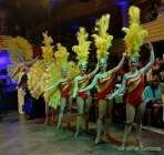 d180210-225623-880-100-carneval_in_rio-a-narrhalla_garde