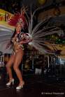 d180210-234520-290-100-carneval_in_rio
