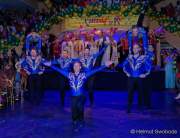 d190302-224253-550-100-carneval_in_rio-narrhalla_garde