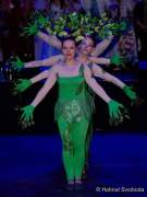 d190302-225640-780-100-carneval_in_rio-narrhalla_garde