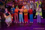 d190302-230043-740-100-carneval_in_rio-narrhalla_garde