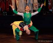 d190302-230253-490-100-carneval_in_rio-narrhalla_garde