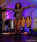 d190302-233051-510-100-carneval_in_rio