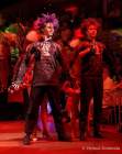 d200222-223629-600-100-carneval_in_rio