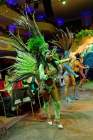 d200222-230356-280-100-carneval_in_rio