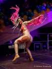 d200222-232422-990-100-carneval_in_rio