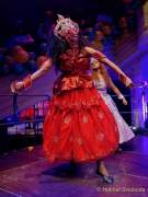 d200222-234230-140-100-carneval_in_rio