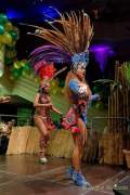 d200223-000237-770-100-carneval_in_rio