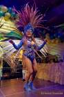 d200222-230653-170-100-carneval_in_rio