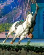 CAVALLUNA Kids - Eine Show steht Kopf im Showpalast München