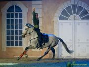 CAVALLUNA Kids - Eine Show steht Kopf im Showpalast München