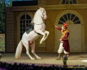 CAVALLUNA Kids - Eine Show steht Kopf im Showpalast München