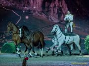 CAVALLUNA Kids - Eine Show steht Kopf im Showpalast München