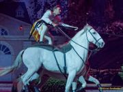 CAVALLUNA Kids - Eine Show steht Kopf im Showpalast München