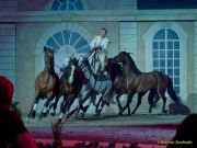 CAVALLUNA Kids - Eine Show steht Kopf im Showpalast München