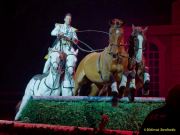 CAVALLUNA Kids - Eine Show steht Kopf im Showpalast München