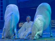 CAVALLUNA Kids - Eine Show steht Kopf im Showpalast München