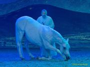 CAVALLUNA Kids - Eine Show steht Kopf im Showpalast München