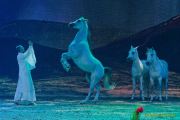 CAVALLUNA Kids - Eine Show steht Kopf im Showpalast München