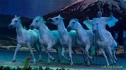 CAVALLUNA Kids - Eine Show steht Kopf im Showpalast München