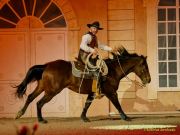 CAVALLUNA Kids - Eine Show steht Kopf im Showpalast München