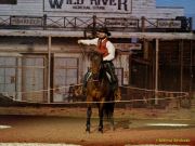 CAVALLUNA Kids - Eine Show steht Kopf im Showpalast München