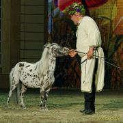 CAVALLUNA Kids - Eine Show steht Kopf im Showpalast München