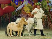 CAVALLUNA Kids - Eine Show steht Kopf im Showpalast München