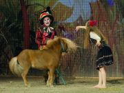 CAVALLUNA Kids - Eine Show steht Kopf im Showpalast München