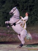 CAVALLUNA Kids - Eine Show steht Kopf im Showpalast München