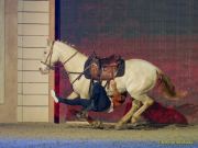 CAVALLUNA Kids - Eine Show steht Kopf im Showpalast München