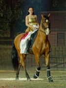 CAVALLUNA Kids - Eine Show steht Kopf im Showpalast München