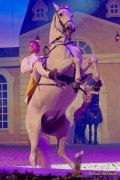 CAVALLUNA Kids - Eine Show steht Kopf im Showpalast München