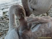 d160914-163531140-100-kampenwand-chiemsee